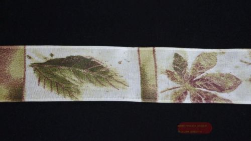 Bild von Band 20m/ 40mm, Blätter, olive