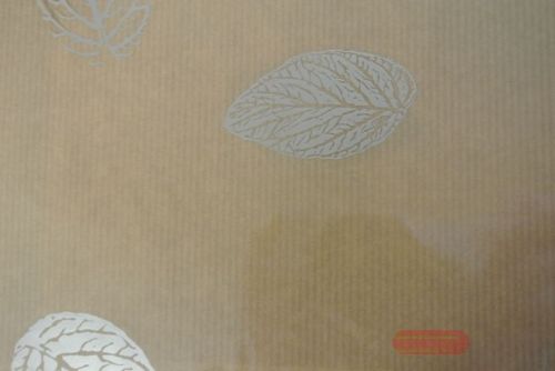 Bild von Folie 250m x 70cm, Blatt, silber