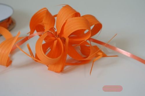 Bild von Susifix 40m/ 17mm, Svelto uni, orange