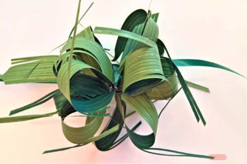 Bild von Susifix 40m/ 17mm, Svelto uni, d'grün