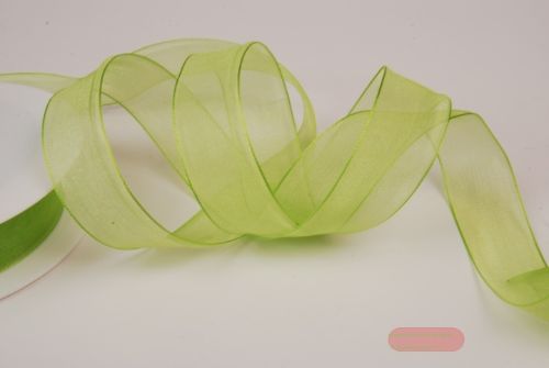 Bild von Band 50m/ 25mm, Organza, pastellgrün