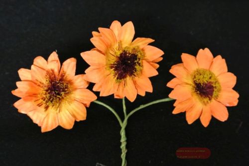 Bild von Blumen, Sunflower 3x 12 Stk m. Draht 35mm, orange