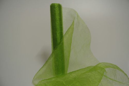 Bild von Band 5m/ 280mm, Crash-Organza, h'grün