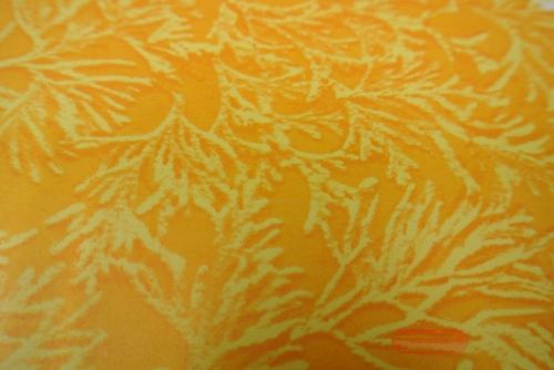 Bild von Bogen 70x 100cm, Farn, d'gelb