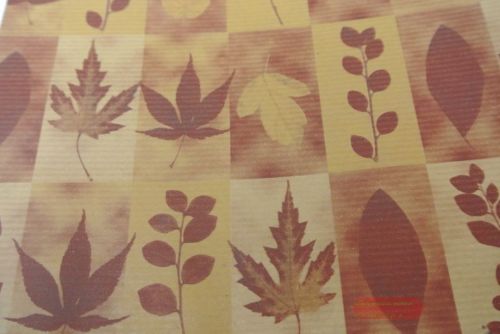 Bild von Bogen 70x 100cm, Blätter, braun