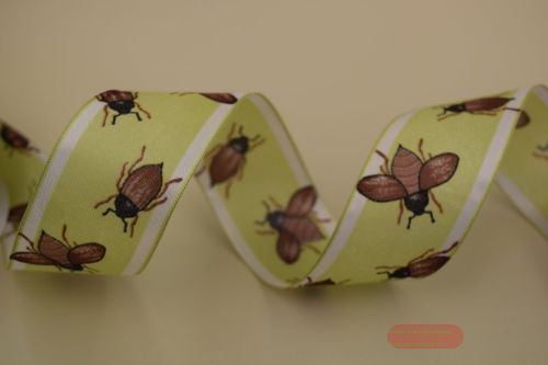Bild von Band 25m/ 40mm, Maikäfer, braun/grün