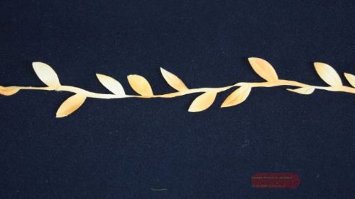 Bild von Band 10m/ 20mm, Blättergirlande, orange