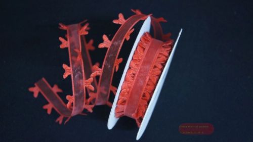 Bild von Band 10y/ 25mm, Schmetterling an Organza, rot