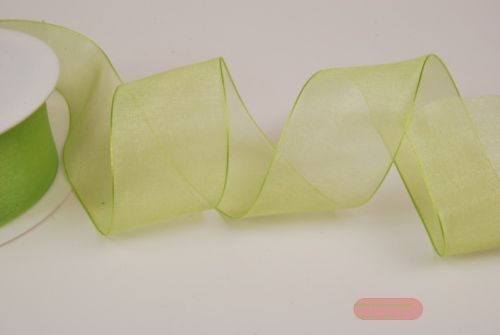 Bild von Band 50m/ 40mm, Organza, pastellgrün