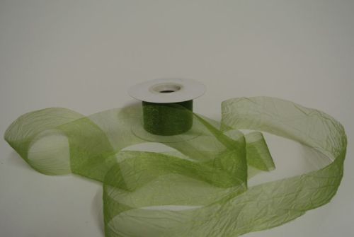 Bild von Band 20m/   50mm, Crash-Organza, grün