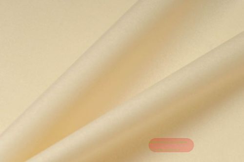 Bild von Blumenseide, 50m   x  75cm nassfest, creme