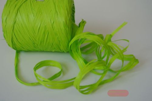 Bild von Band 200m/ 10mm, Raphlene Serrage, anis