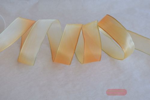 Bild von Band 20m/ 25mm, Band gespritzt, orange