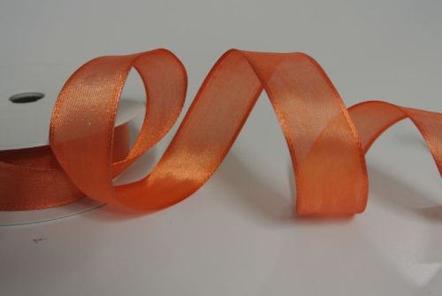 Bild von Band 25m/ 25mm, Sheer, rost