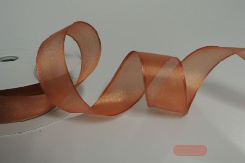 Bild von Band 25m/ 25mm, Sheer, altrost