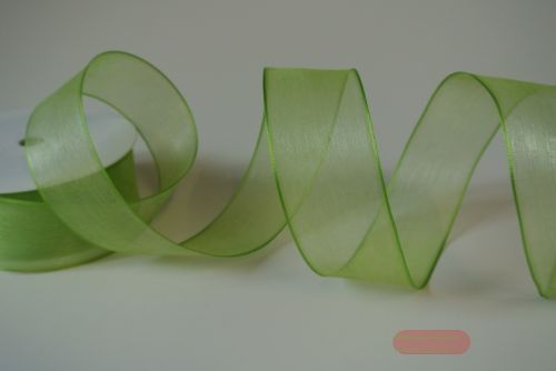 Bild von Band 25m/ 40mm, Organza Drahtkante, lindengrün