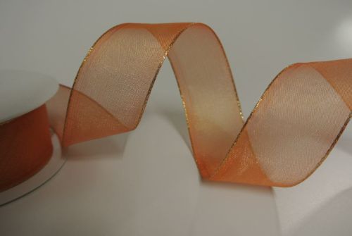 Bild von Band 20m/ 40mm, Sheer - gold Ende, lachs