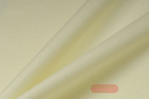 Bild von Blumenseide,  75cm nassfest, champagner