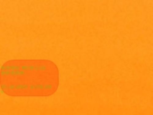 Bild von Blumenseide, 50cm x 200m - nassfest, mandarin