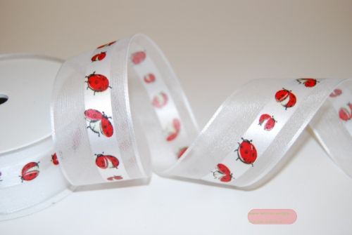 Bild von Band 20m/ 40mm, Marienkäfer, weiss/rot