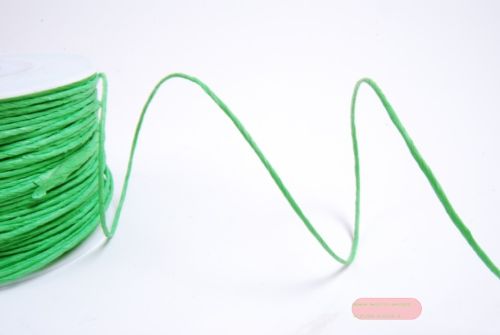 Bild von Band 100m/ 2mm, Paper Kord mit Draht, hellgrün