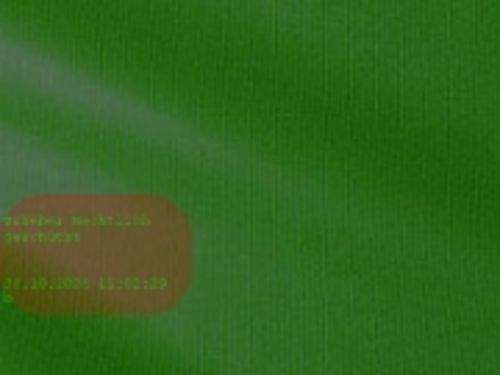 Bild von Blm-Papier,   75cm Kraft braun, wacholder