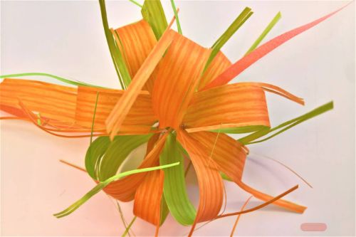 Bild von Susifix 40m/ 17mm, Svelto bic, orange/grün