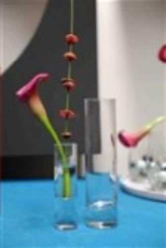 Bild von GlasVase, Soliflor - 3.5x 13cm, klar