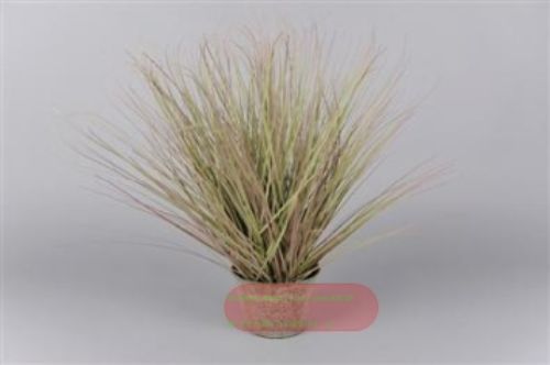 Bild von Gras dekorativ, in Zinkeimer  51cm, grün
