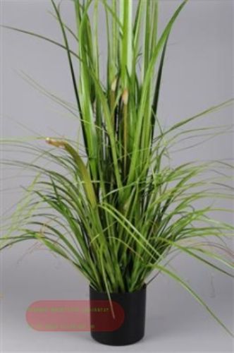 Bild von Schilf dekorativ - 120cm, grün