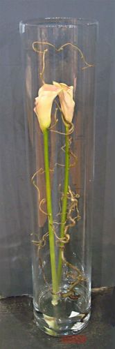 Bild von Glasvase, Zylinder 20x H100cm, klar