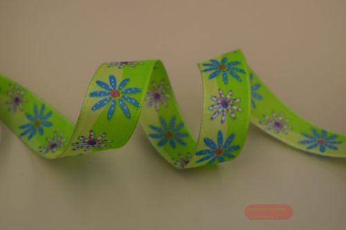 Bild von Band 25m/ 25mm, Blm. & Wellen, grün