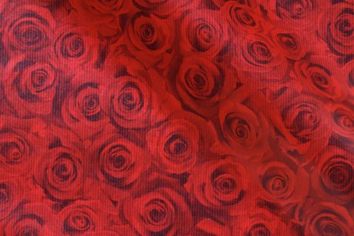 Bild von Blm-Papier,  75cm - Forever Rosen, rot*