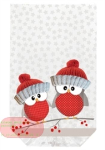 Bild von Klarsichtbeutel, 145x 235mm - Brothers, klar