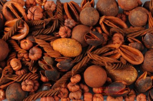 Bild von Deco, Naturprodukte Mix - festlich , rot/orange*