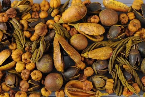 Bild von Deco, Naturprodukte Mix - festlich , braun/grün