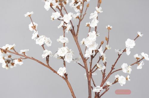 Bild von Zweig, mit Blüten L105cm, weiss