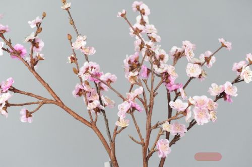 Bild von Zweig, mit Blüten L105cm, rosa