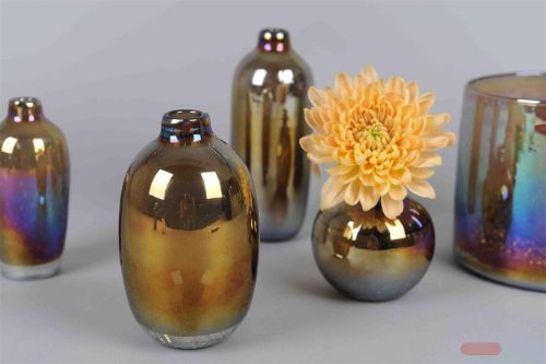 Bild von GlasVase, Flasche Glanz - Ø9.7x H15.5cm, coco