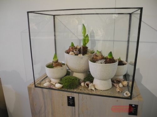 Bild von Vitrine, burn antik L55x 30x H51cm, schwarz