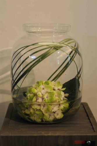 Bild von Glasvase, mit Kragen - 23x 41cm, klar