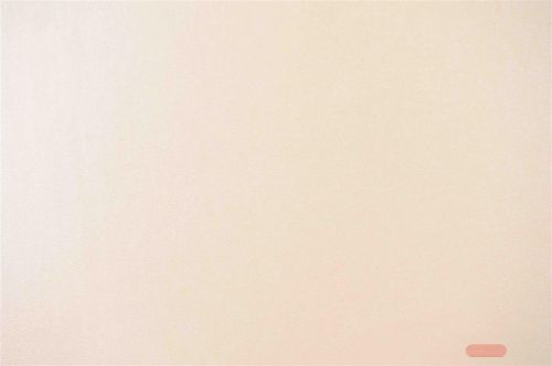 Bild von Placemat, 45x 30cm Lederoptik, amanda