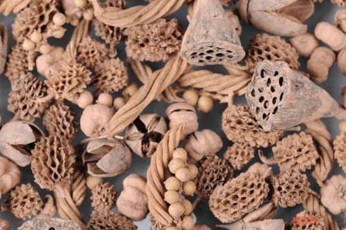 Bild von Akzente, Exotic Mix L8x 8x H24cm, camel