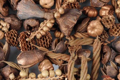 Bild von Akzente, Exotic Mix L8x 8x H24cm, copper