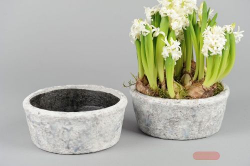 Bild von BlumenSchale, Stony Ø21.5x H9cm, petrol