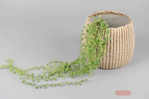 Bild von Zierpflanze, Zweig hängend H80cm, grün