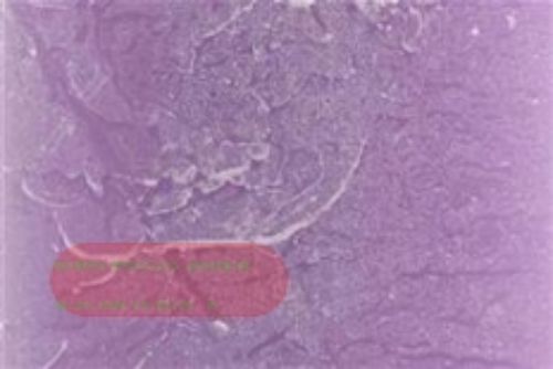 Bild von Rustic Kugelkerze, Ø 80mm, viola*