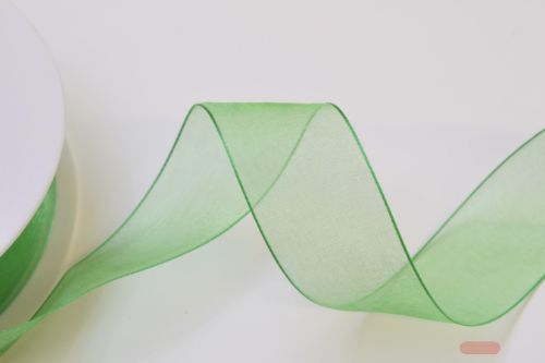 Bild von Band 50m/ 25mm, Organza, appel