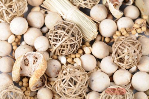 Bild von Spicy Exotics, org. India L8x 8x H24cm, creme