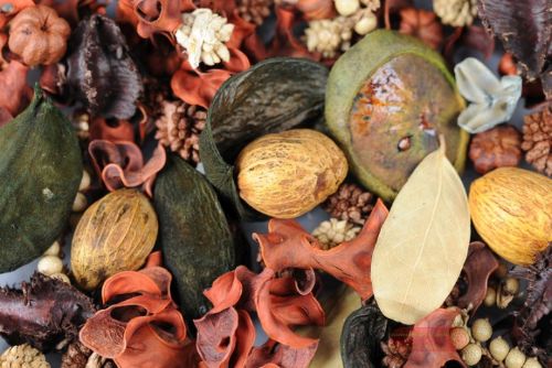 Bild von Spicy Exotics, org. India L8x 8x H24cm,